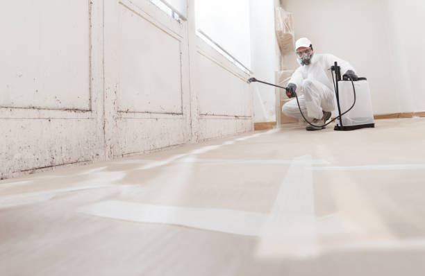 24/7 Emergency Black Mold Remediation experts in Erwin, NC