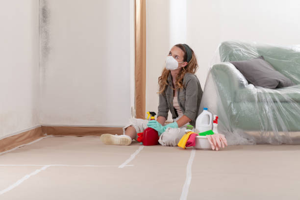 Reliable Black Mold Remediation contractor in Erwin, NC by Car Mold Remediation